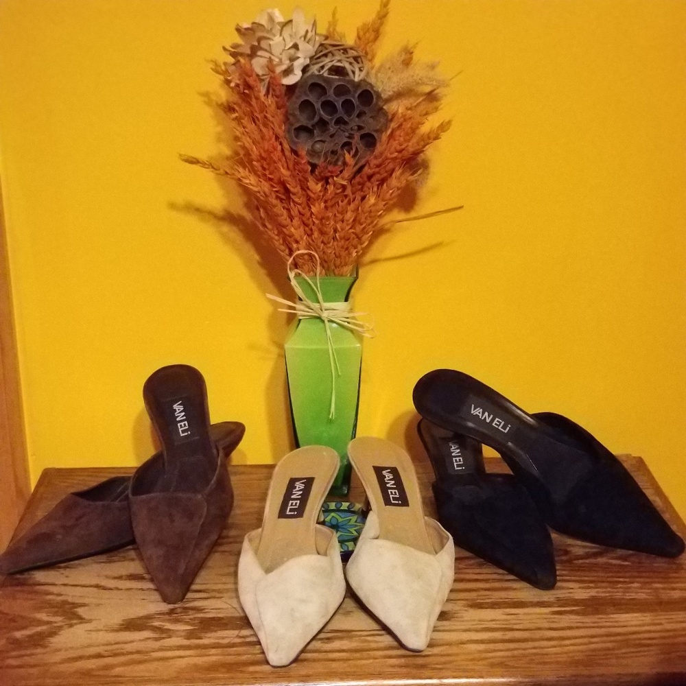 Van Eli Suede Slide Kitten Heel